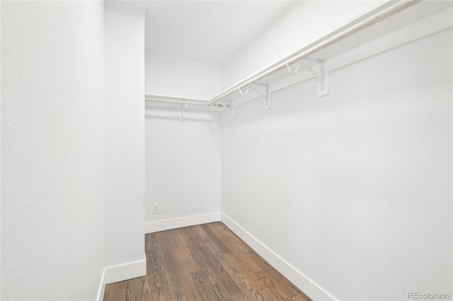 walk in closet with dark wood-style flooring