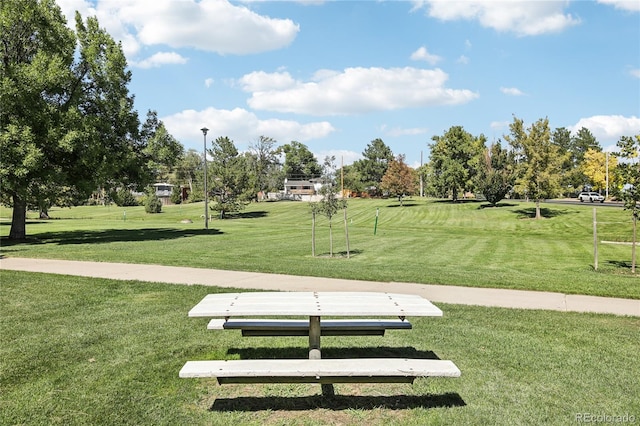 view of community with a yard