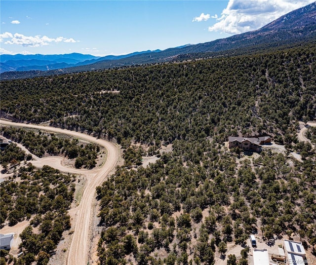 5693 Pinon Ridge Trl, Salida, CO 81201 - photo 3
