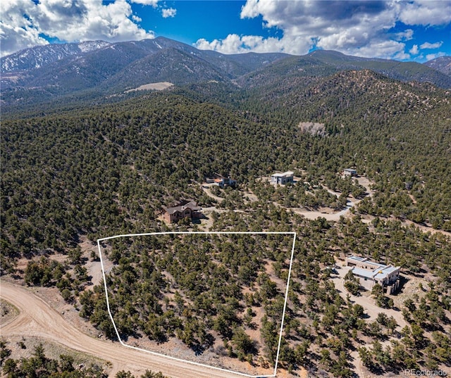 5693 Pinon Ridge Trl, Salida, CO 81201 - photo 5