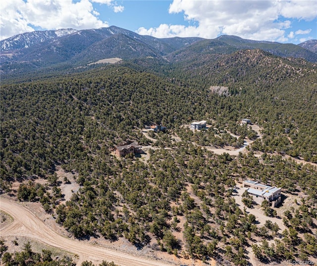 5693 Pinon Ridge Trl, Salida, CO 81201 - photo 6