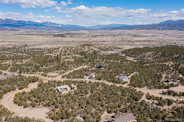 5693 Pinon Ridge Trl, Salida, CO 81201 - photo 9