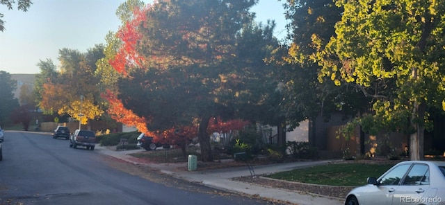 view of street with curbs and sidewalks