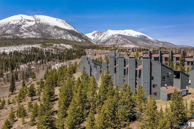 9430 Ryan Gulch Rd Unit 9450, Silverthorne, CO 80498 - view of mountain backdrop
