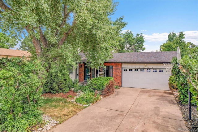12593 W Grand Dr, Morrison, CO 80465 - photo 38