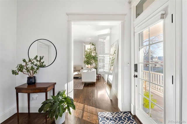 entryway with a wealth of natural light and dark wood-type flooring