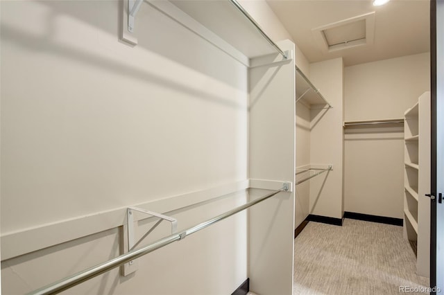 walk in closet with attic access and light colored carpet