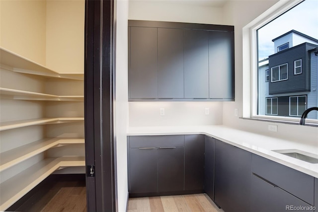 pantry with a sink