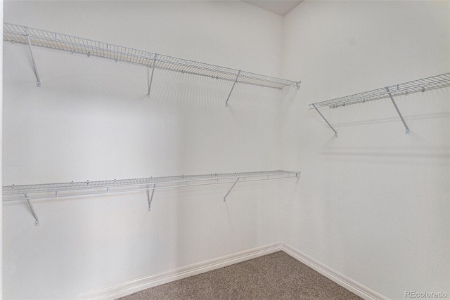 7589 Iridium Ct, Castle Rock, CO 80108 - photo 21