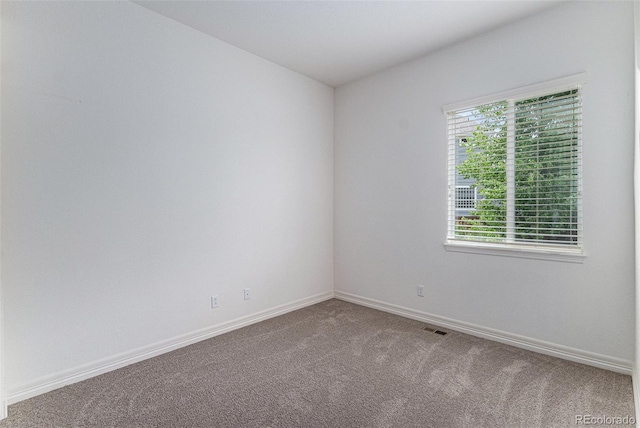 7589 Iridium Ct, Castle Rock, CO 80108 - photo 22