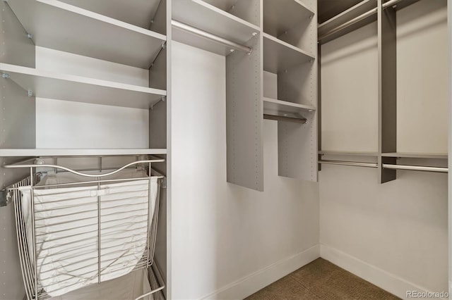 3615 Navajo St, Denver, CO 80211 - walk in closet featuring carpet