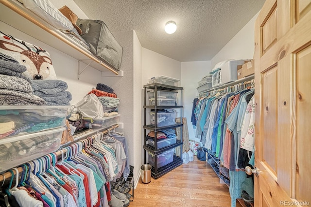 2680 Wild Bill Blvd, Westcliffe, CO 81252 - walk in closet featuring light wood-style flooring