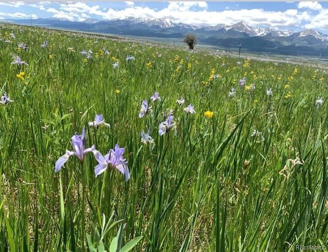 2680 Wild Bill Blvd, Westcliffe, CO 81252 - exterior view of a mountain backdrop
