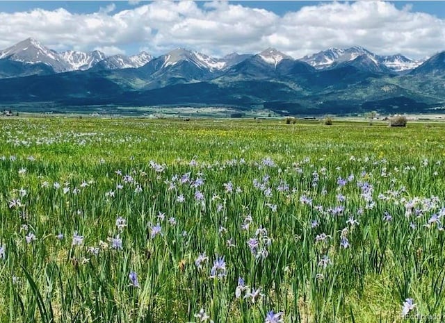 2680 Wild Bill Blvd, Westcliffe, CO 81252 - view of mountain background