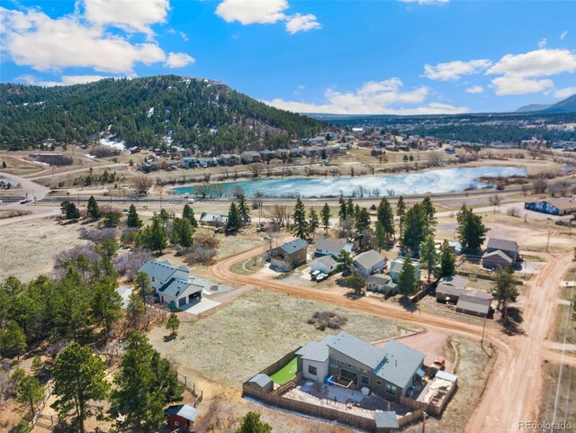 26 Gillia St, Palmer Lake, CO 80133 - photo 6