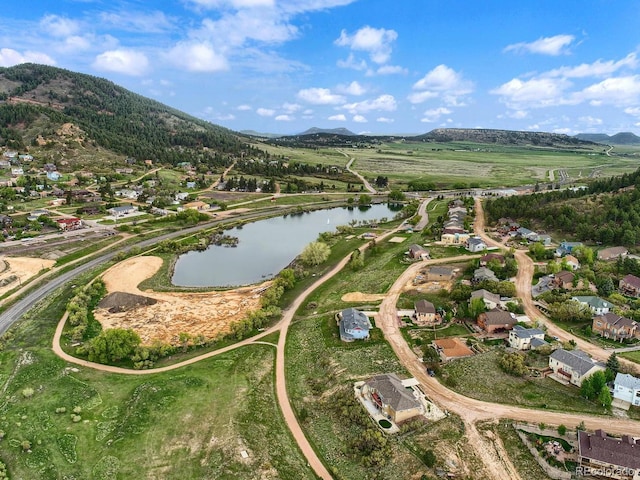26 Gillia St, Palmer Lake, CO 80133 - photo 8