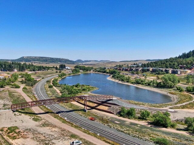 26 Gillia St, Palmer Lake, CO 80133 - photo 10