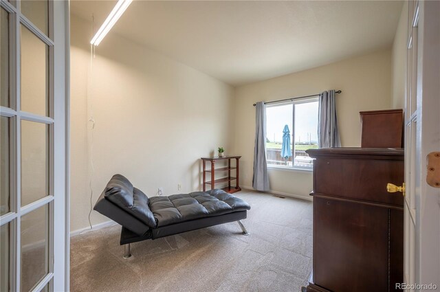 475 Hampstead Ave, Castle Rock, CO 80104 - photo 15