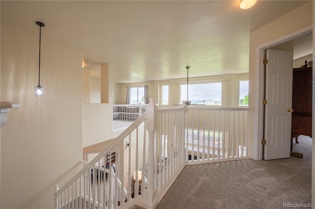 475 Hampstead Ave, Castle Rock, CO 80104 - photo 18
