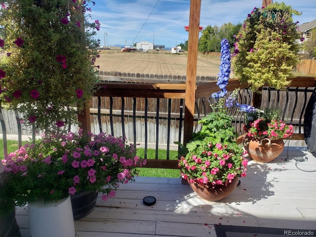 475 Hampstead Ave, Castle Rock, CO 80104 - photo 37