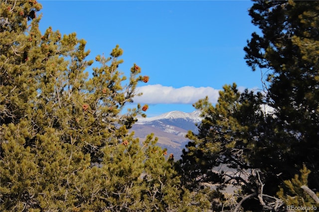 Listing photo 2 for LOT75 Valley View Trl, San Luis CO 81152