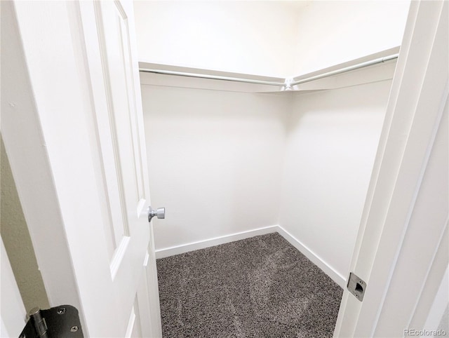 spacious closet featuring dark carpet