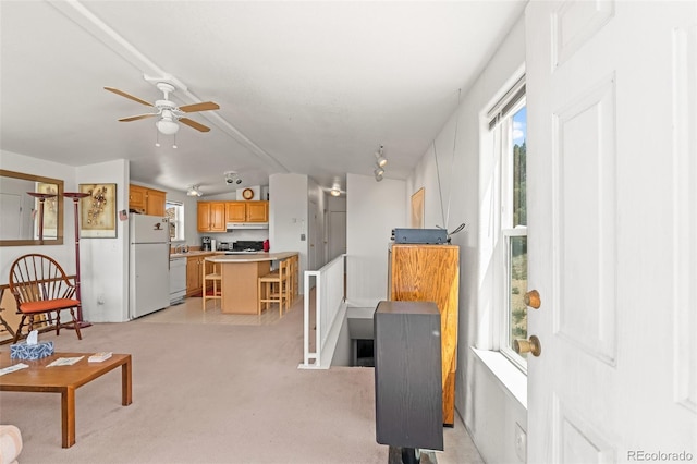 165 Coyotero Trl, Hartsel, CO 80449 - living area with light colored carpet and ceiling fan