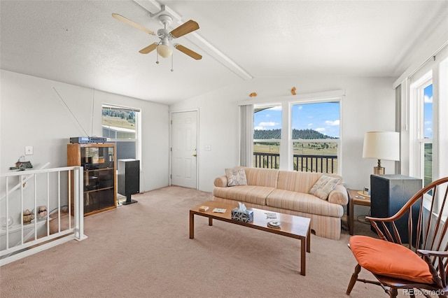 165 Coyotero Trl, Hartsel, CO 80449 - living area featuring plenty of natural light, ceiling fan, and light colored carpet