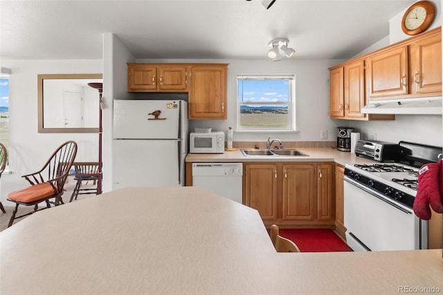 165 Coyotero Trl, Hartsel, CO 80449 - kitchen with white appliances, under cabinet range hood, and light countertops