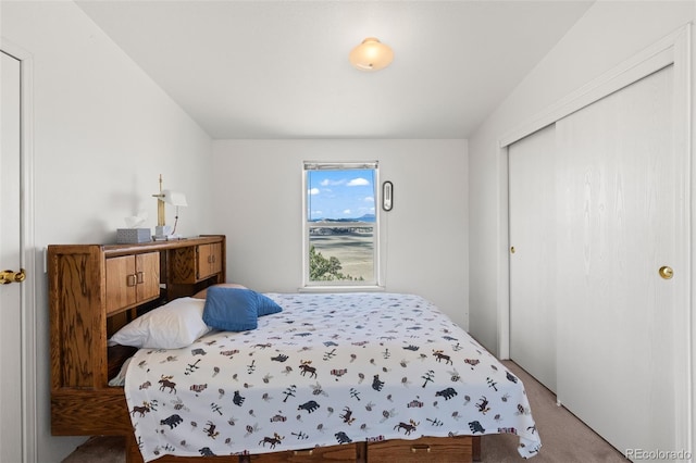 165 Coyotero Trl, Hartsel, CO 80449 - bedroom with a closet and carpet flooring