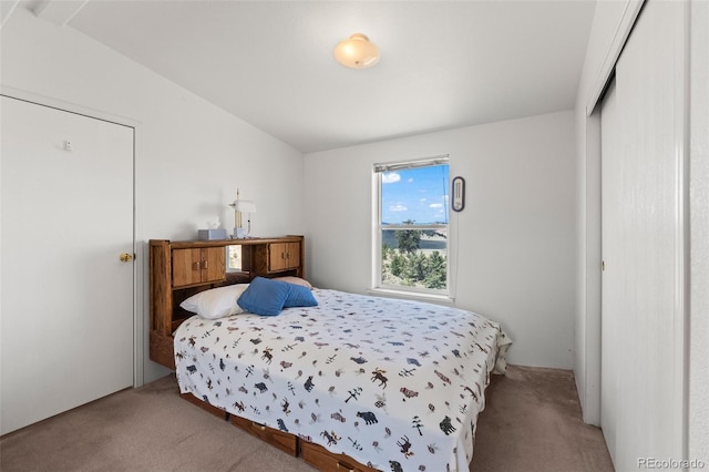 165 Coyotero Trl, Hartsel, CO 80449 - bedroom featuring carpet and a closet