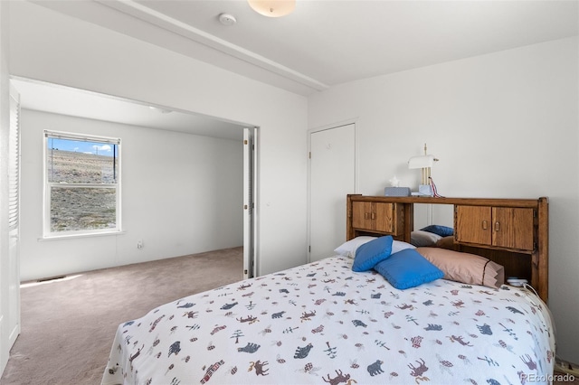 165 Coyotero Trl, Hartsel, CO 80449 - view of carpeted bedroom