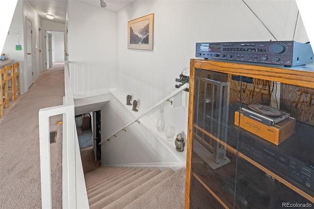 165 Coyotero Trl, Hartsel, CO 80449 - stairs featuring carpet