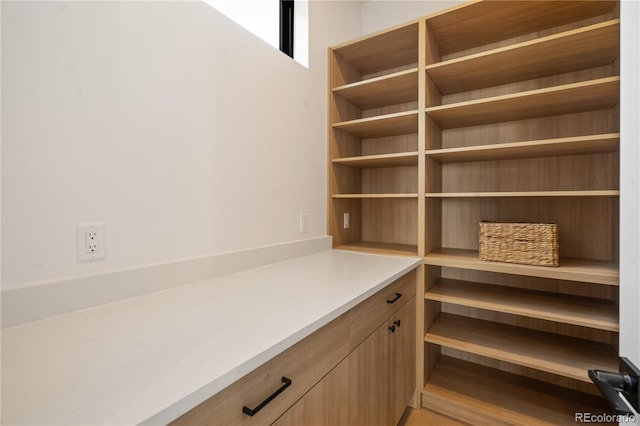 1601 S Columbine St, Denver, CO 80210 - view of pantry