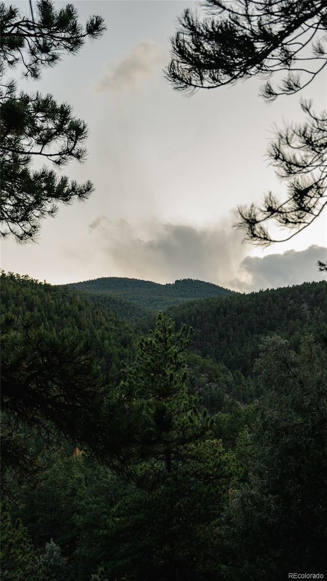 view of mountain feature