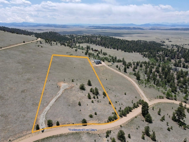 983 La Plata Cir, Hartsel, CO 80449 - photo 2