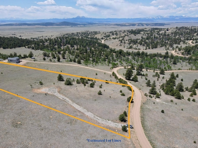 983 La Plata Cir, Hartsel, CO 80449 - photo 5