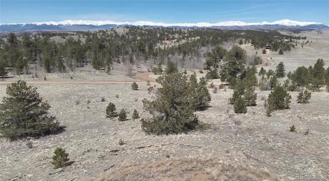 983 La Plata Cir, Hartsel, CO 80449 - photo 9