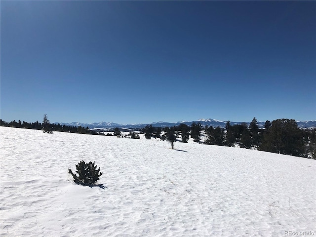 983 La Plata Cir, Hartsel, CO 80449 - photo 16