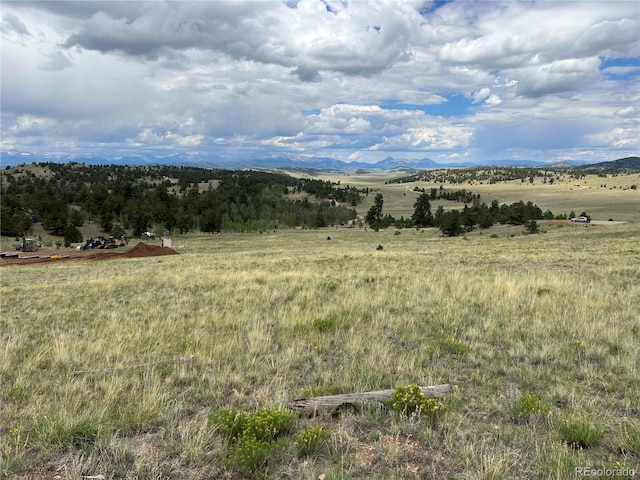 983 La Plata Cir, Hartsel, CO 80449 - photo 18