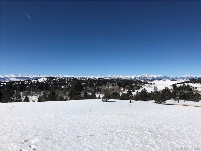 983 La Plata Cir, Hartsel, CO 80449 - photo 23