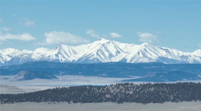 983 La Plata Cir, Hartsel, CO 80449 - photo 24