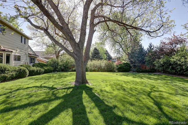 10886 E Berry Ave, Englewood, CO 80111 - view of grassy yard