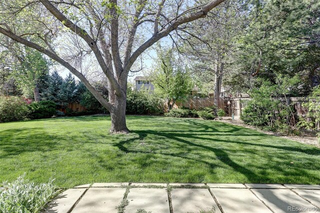 10886 E Berry Ave, Englewood, CO 80111 - view of yard featuring a patio