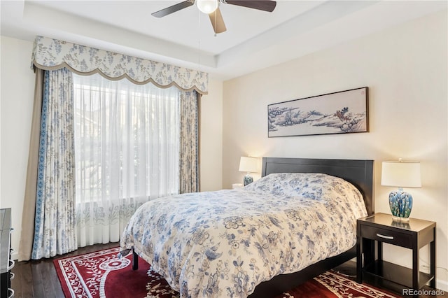 bedroom featuring ceiling fan, dark hardwood / wood-style flooring, and a raised ceiling