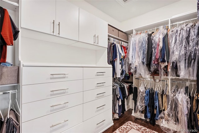 spacious closet with dark wood-type flooring