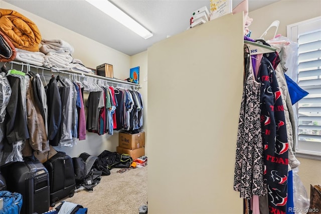 walk in closet featuring carpet floors