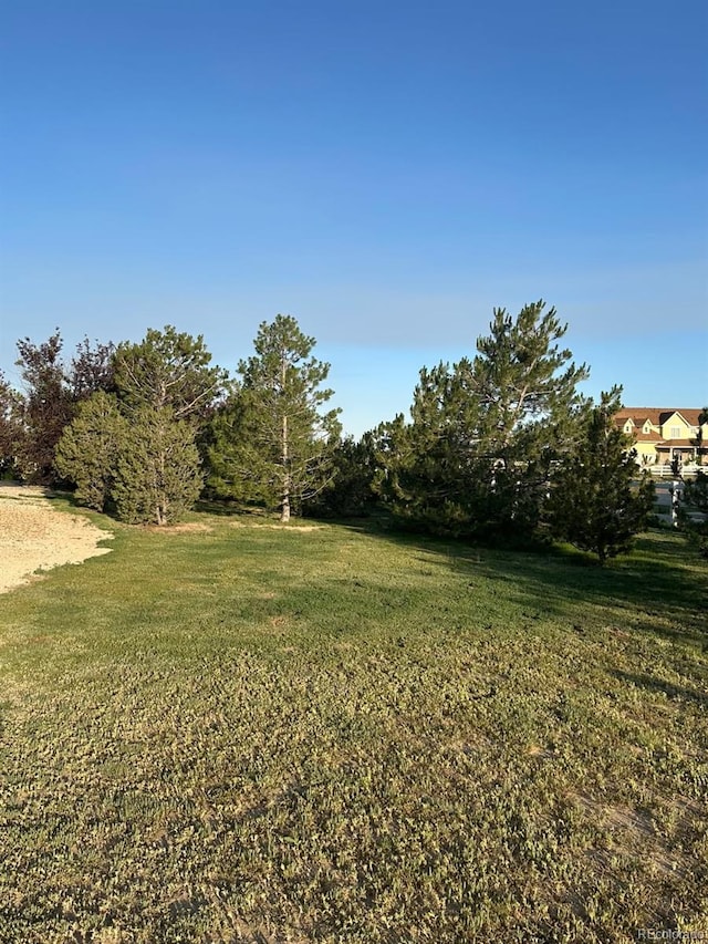 970 Inyokern Ct, Watkins, CO 80137 - view of grassy yard