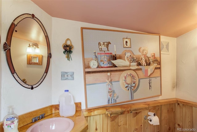 307 Virginia Rd, Bailey, CO 80421 - bathroom with vanity