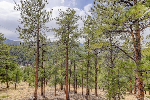 307 Virginia Rd, Bailey, CO 80421 - view of nature featuring a view of trees